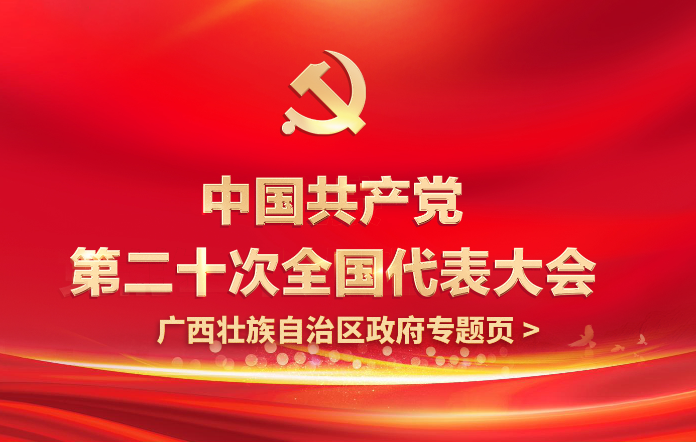 中国共产党第二十次全国代表大会广西政府专题