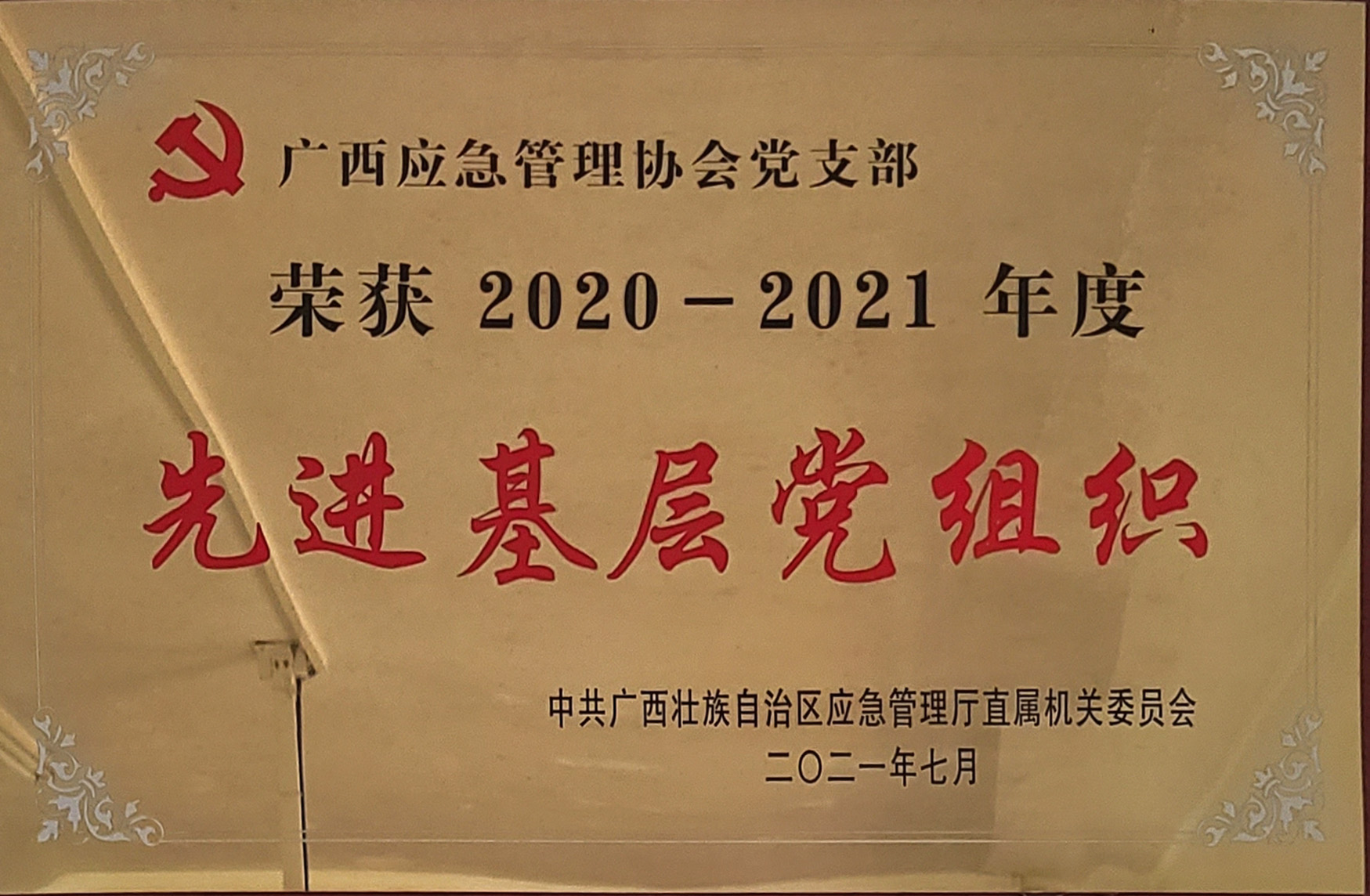 2020-2021年度先进基层党组织